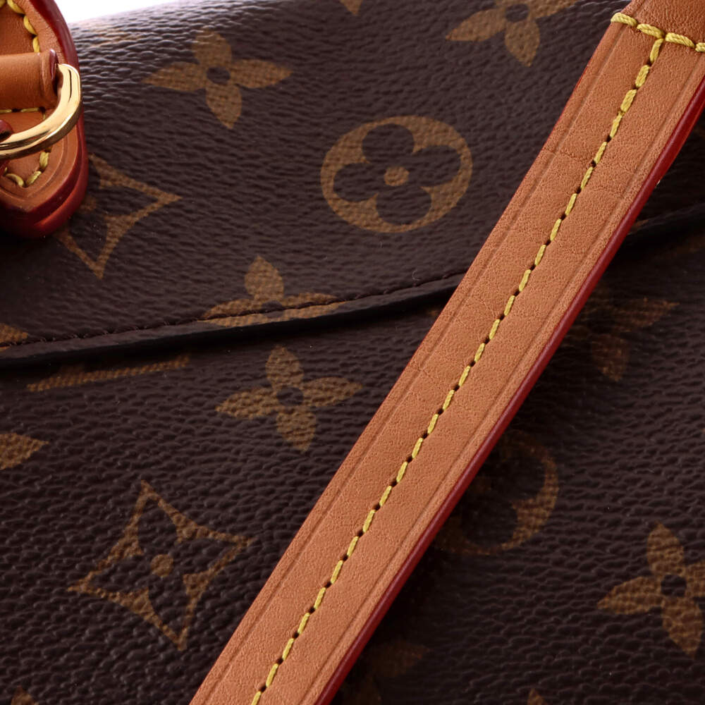 Louis Vuitton Montsouris Nm Backpack #239612L22B - Picture 6 of 9